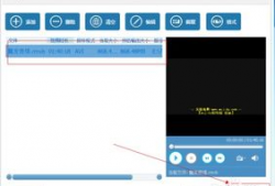 视频的格式,揭秘[视频格式]的精彩世界
